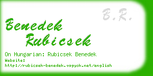 benedek rubicsek business card